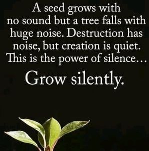 Meet your Posher, Alan